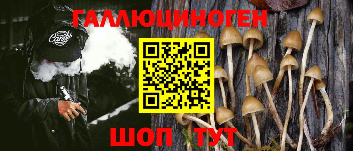 Псилоцибиновые грибы Cubensis Северобайкальск